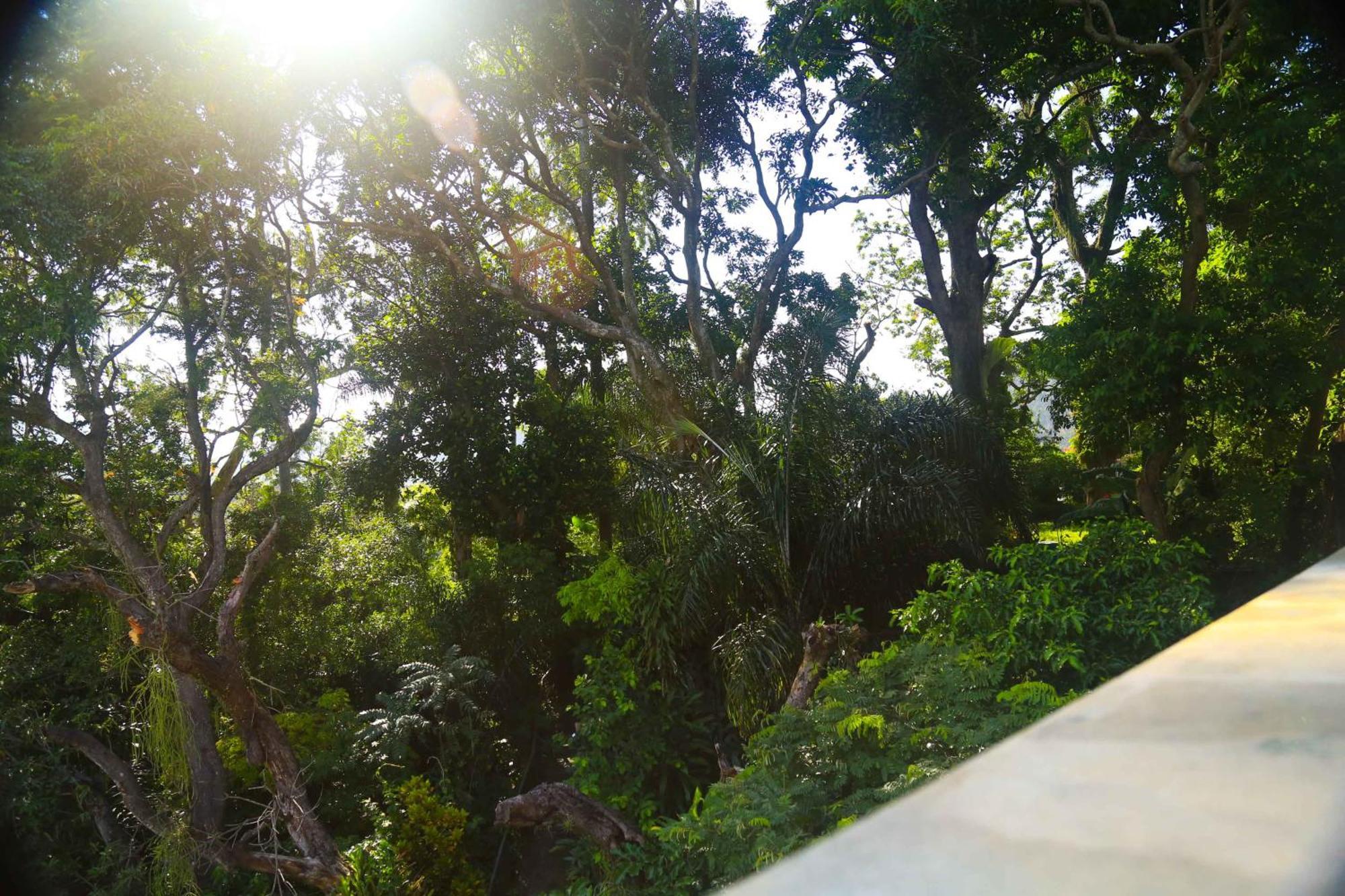 Blue Hill Pensión Río de Janeiro